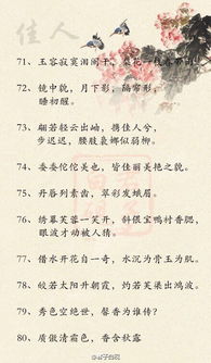 中考關(guān)于邊塞的古詩句5句