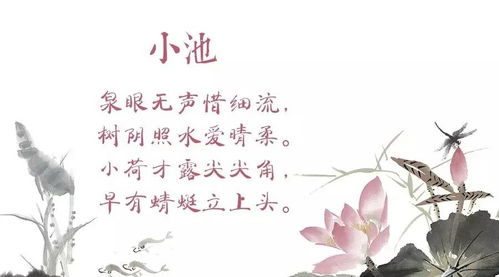 關(guān)于水的詩句小池