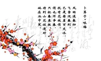 詩(shī)句,梅花,有哪些