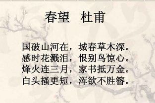 10句關于愛國情懷的詩句
