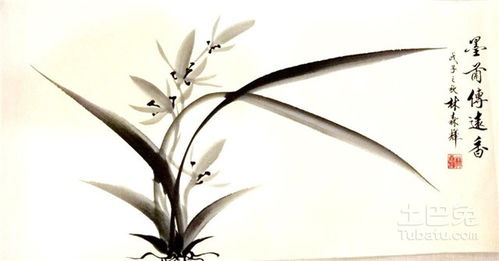 梅蘭竹菊的詩句4句,關(guān)于梅蘭竹菊的詩句古詩,梅蘭竹菊四君子的詩句