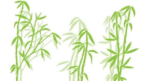 竹贊頌竹的古詩句