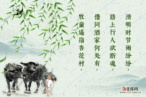 美好時節(jié)詩句古詩