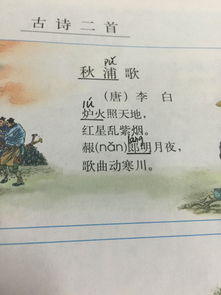 描寫中國的古詩詩句有哪些