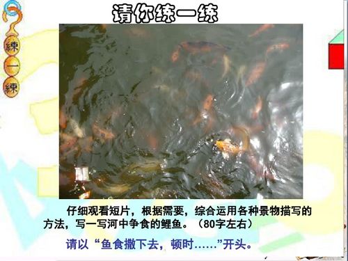 關于一景一物總關情的句子或詩句的