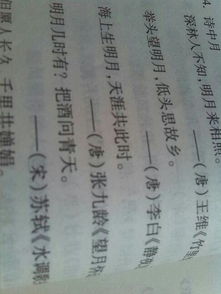 詩句,描寫,擁有,書籍