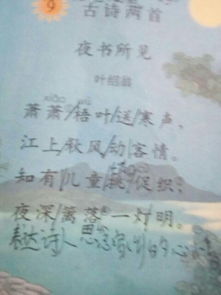 關于描寫第一的詩句