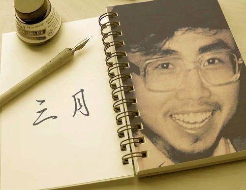 海子關(guān)于理想的詩句