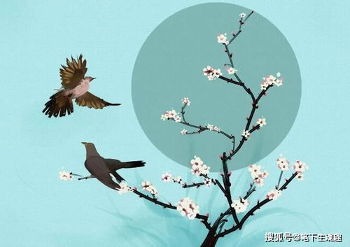 古詩詞中有鳥的詩句