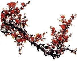 關(guān)于有梅花的詩(shī)句凌寒獨(dú)自開(kāi)