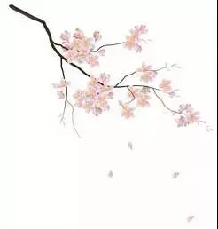 古詩,詩句,詞中