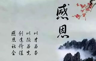 有關于感恩母親的詩句