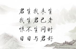 關于有緣無分的詩句