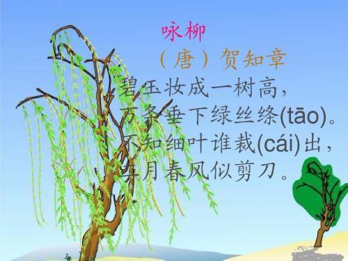 詠柳古詩(shī)贊美柳樹的句子,古詩(shī)詠柳古詩(shī),古詩(shī)詠柳古詩(shī)帶拼音