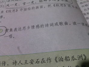 含有思鄉(xiāng)情感的古詩句
