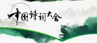 中國詩詞大會關于夏荷的詩句