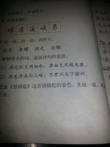 關(guān)于揭曉答案的詩句