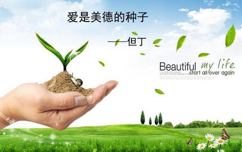 關于愛心的詩句或名言警句