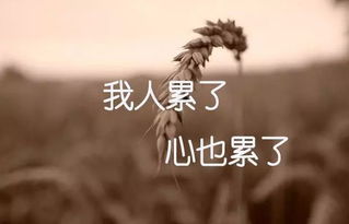 關(guān)于心煩的古詩句子