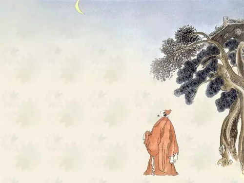 我國古詩中描寫杜鵑黃闕白鷺的詩句