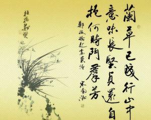 詩句,文學,生活