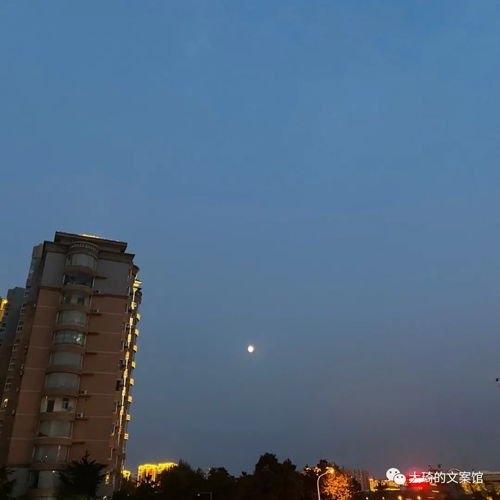 關于霧消散的詩句