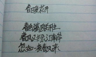古詩(shī)四句話詩(shī)句四個(gè)字