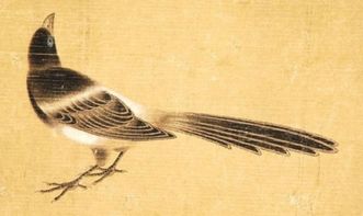 有鳥名的古詩句
