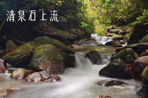 古詩,詩句,大全,帶月字