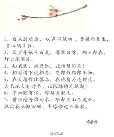 關(guān)于愛情慢慢來的詩(shī)句