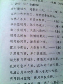 描寫天空廣闊的古詩句