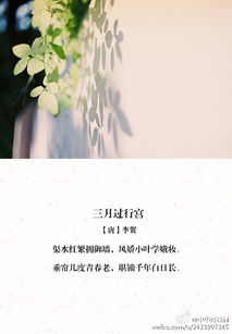 講述享受青春華的古詩句