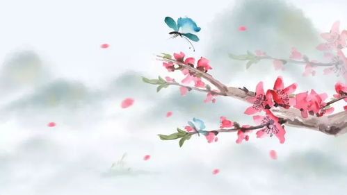 形容君子美好的詩句,形容君子美好品德的詩句,形容君子高潔美好的詩句