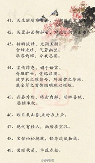 古詩句讓美人等