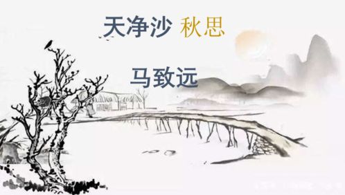 默寫,詩(shī)句,考古,理解