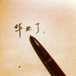 關于青春不后悔的詩句
