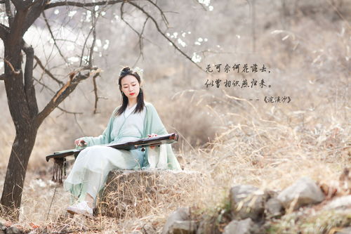 感慨時(shí)間的詩句的古詩詞