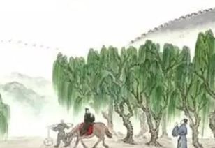 詩句,折柳曲