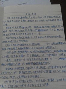 怎樣寫母愛的作文開頭,寫母愛的作文開頭初中,寫母愛作文開頭和結(jié)尾