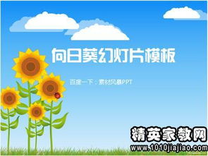 幼兒園教師年度個人工作述職報告范文(幼兒園教師年度個人工作述職報告范文)