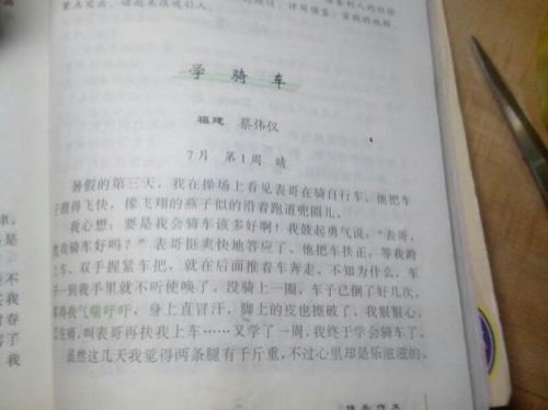 寫我學(xué)會(huì)了什么的作文開頭怎么寫