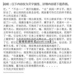 那是一次成功嘗試開頭作文范文