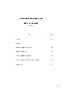 公司年度審計(jì)報(bào)告(精選的公司年度審計(jì)報(bào)告)
