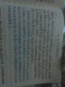 作文開(kāi)頭好句400字摘抄加賞析