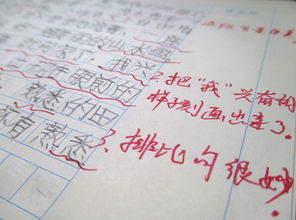 羨慕的作文開(kāi)頭