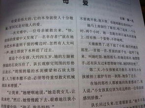 父母雨中送傘的作文開頭