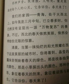 關(guān)于描寫美好的家鄉(xiāng)的作文600字作文開頭