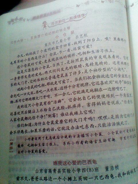 四級動物同學(xué)開頭怎么寫作文