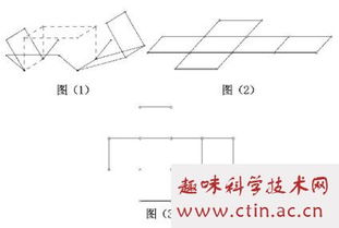 初一數(shù)學小論文范文(初一下數(shù)學小論文)
