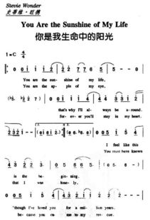 你是我生命里的陽光作文開頭結(jié)尾